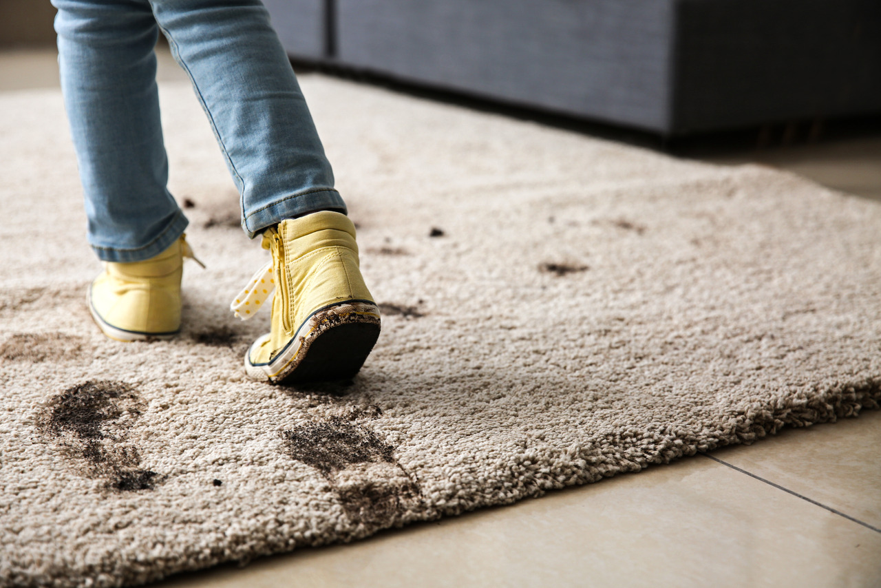Как убрать следы от обуви на ковре: советы и эффективные средства